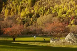 ArrowtownGolfCourseInAutumnCourtesyqueenstownnz.co.nz