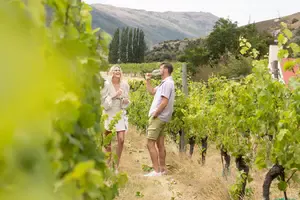Queenstown is fast becoming a destination of choice for lovers of fine wine. Queenstown wine tours are the perfect way to sample our local wines.