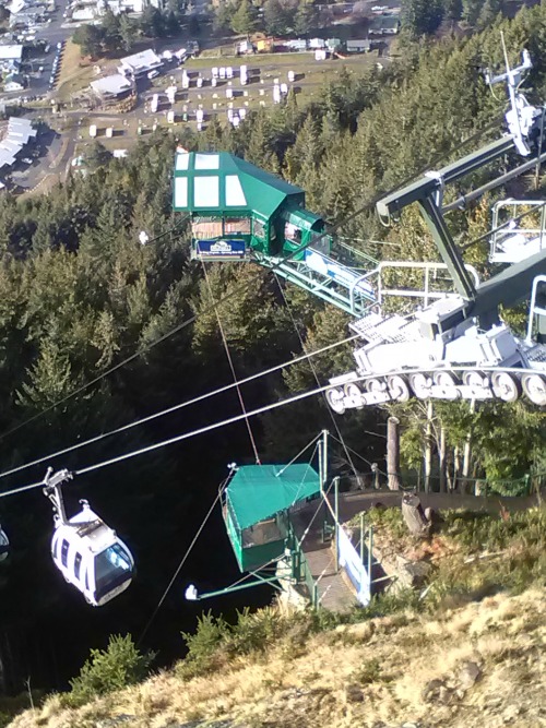 The Ledge Bungy Queenstown
