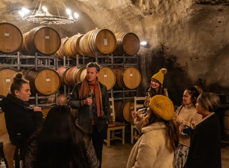 Appellation Wine Tours Wine Cave Get Your Guide