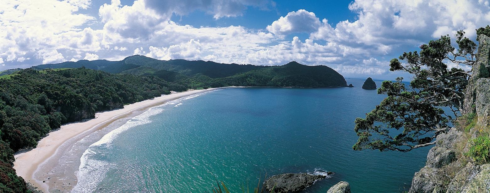 Coromandel New Chums Beach 1560 x 613 Pic Courtesy thecoromandel.com