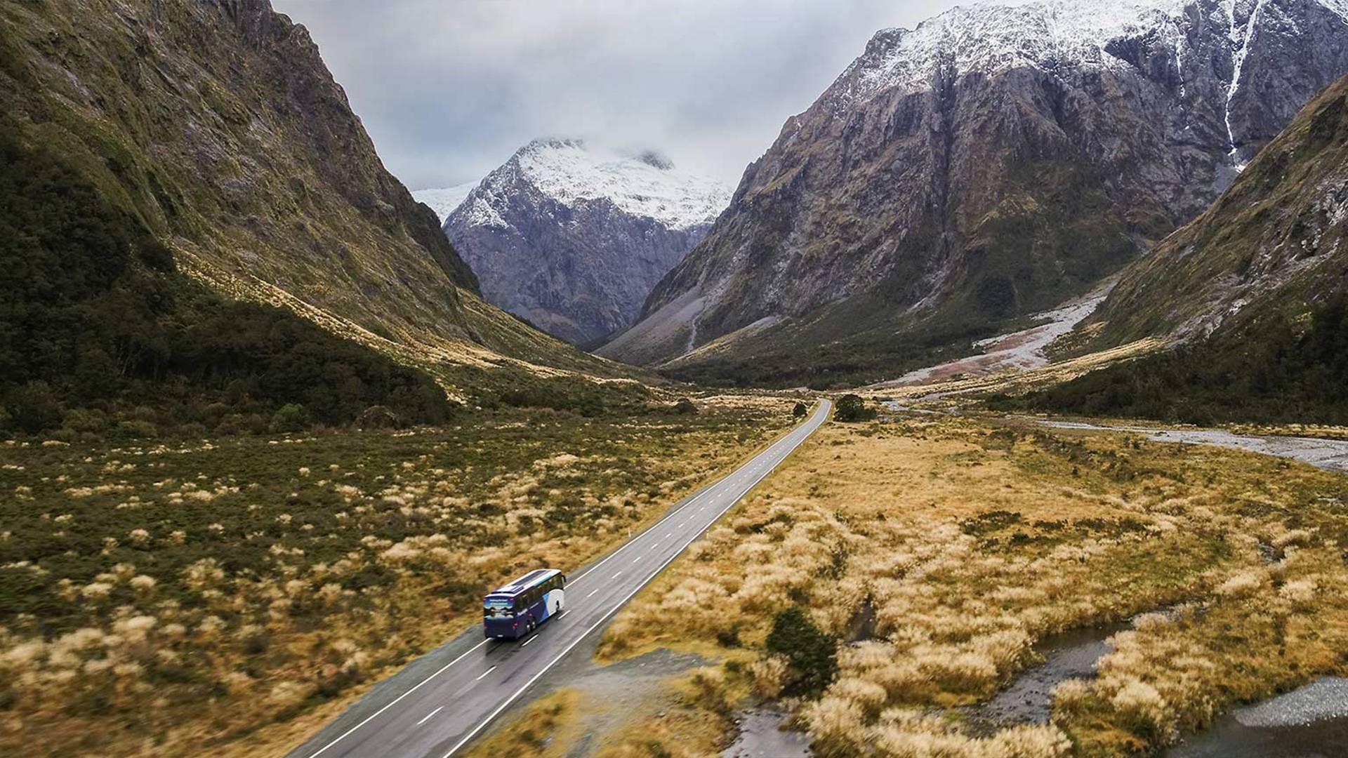 Great Sights bus on the Milford Road - image courtesy Great Sights
