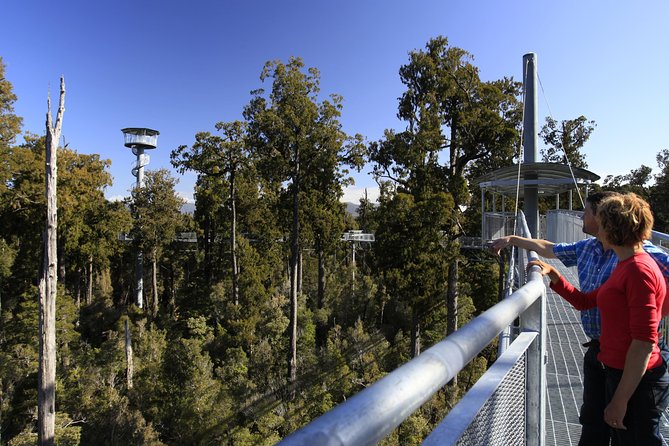 The West Coast Tree Top Walk Hokitika