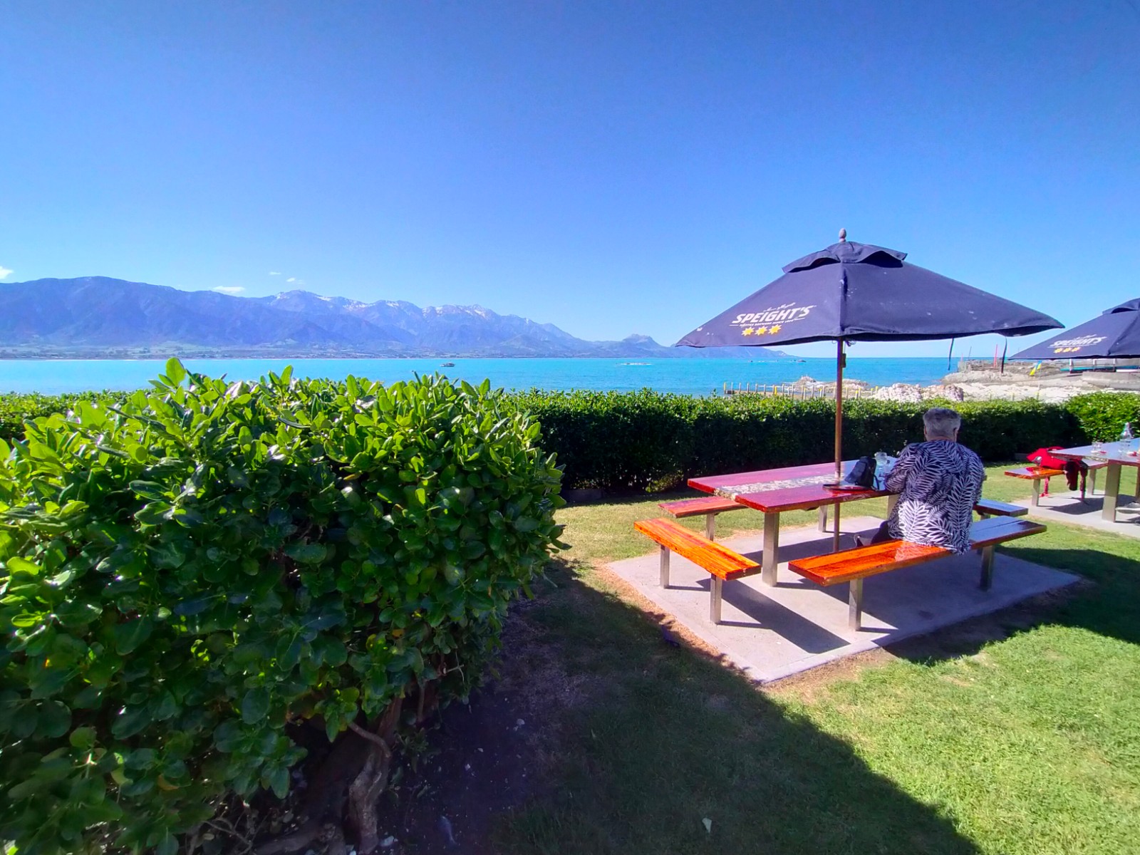 Kim at the Pier Hotel Kaikoura