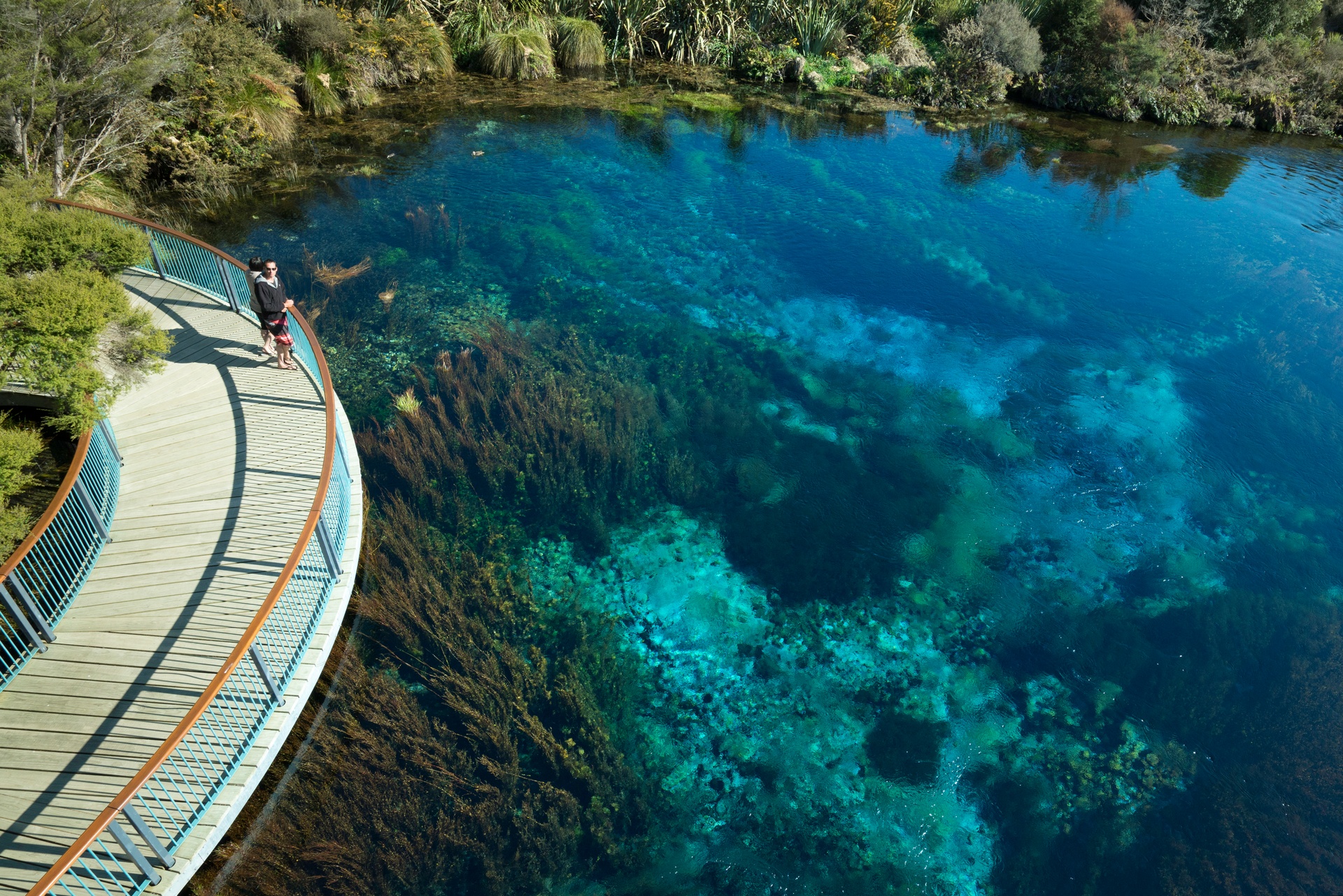Nelson Te Waikoropupu Springs Courtesy Craig Parry and nelsontasman.nz