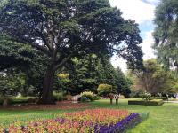 Queenstown Gardens Courtesy queenstownnz.co.nz