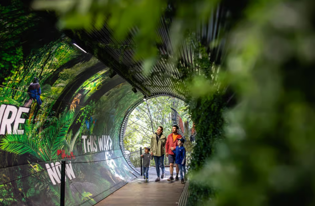 Queenstown Kiwi Park inside the entrance - image courtesy Get Your Guide