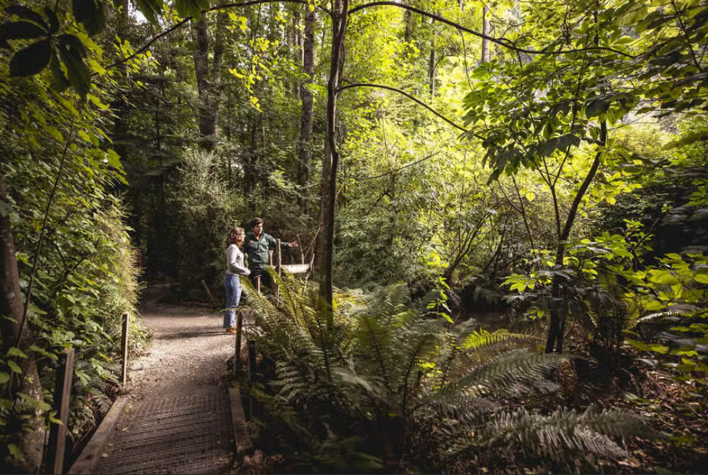 Queenstown Kiwi Park traila image courtesy Get Your Guide