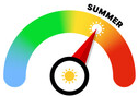 Season Icon Summer