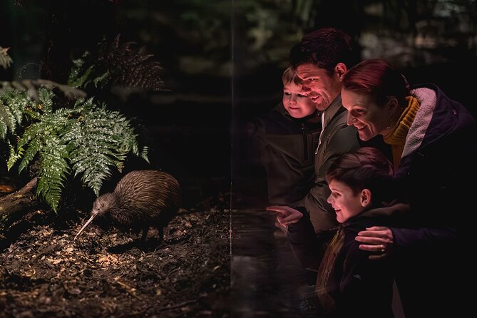 Visit the Queenstown Kiwi Park and see our amazing native bird
