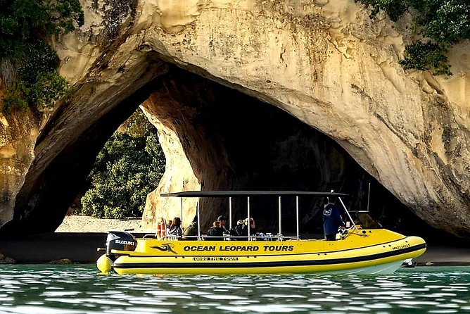 Viator Whitianga Ocean Leopard Cathedral Cove Tour