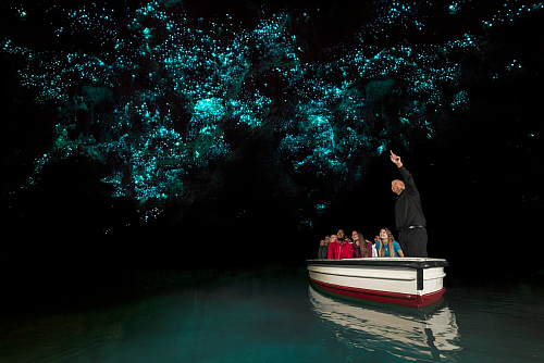 WaikatoWaitomo Glowworm Caves Courtesy Corin Walker Bain