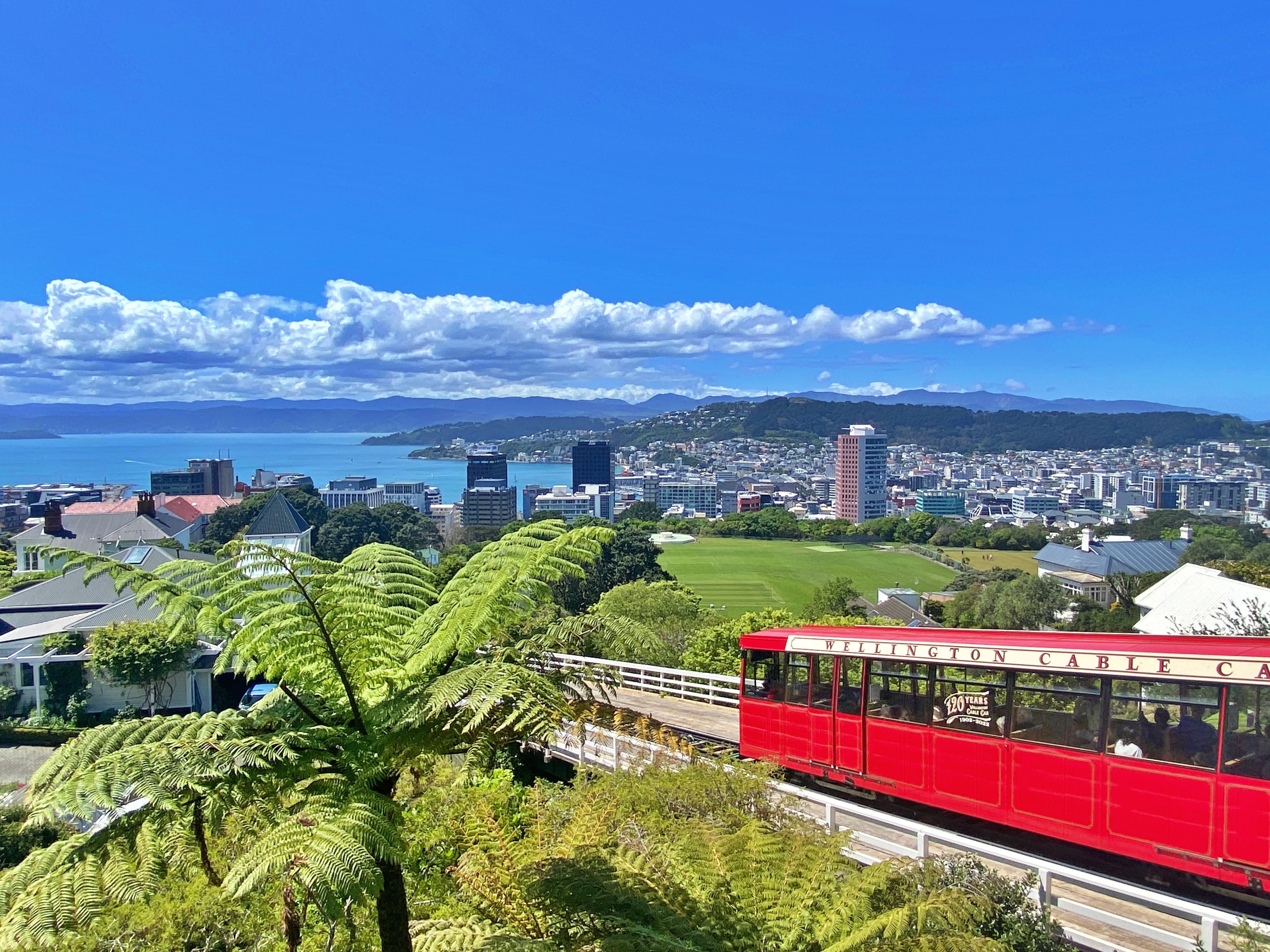 WellingtonCablecarCourtesySuziKimAndUnsplash