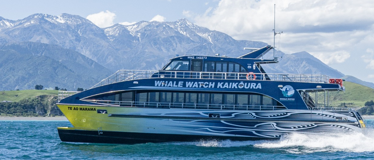 Whale Watch Kaikoura Boat and Mountains