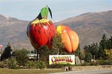 CentralOtagoCromwellBigFruit courtesycentralotagonz.com