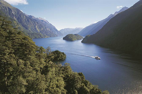 You will never forget the pristine environment of Doubtful Sound.
