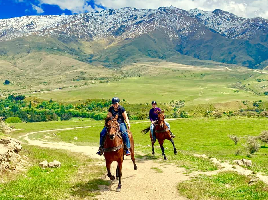 GYG Cardrona Valley Horse Trekking Experience