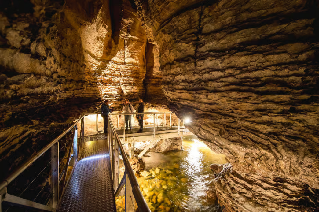 Subterranean wonders at the Te Anau Glowworm Caves - image courtesy Get Your Guide GYG Te Anau Glowworm Caves Walkway