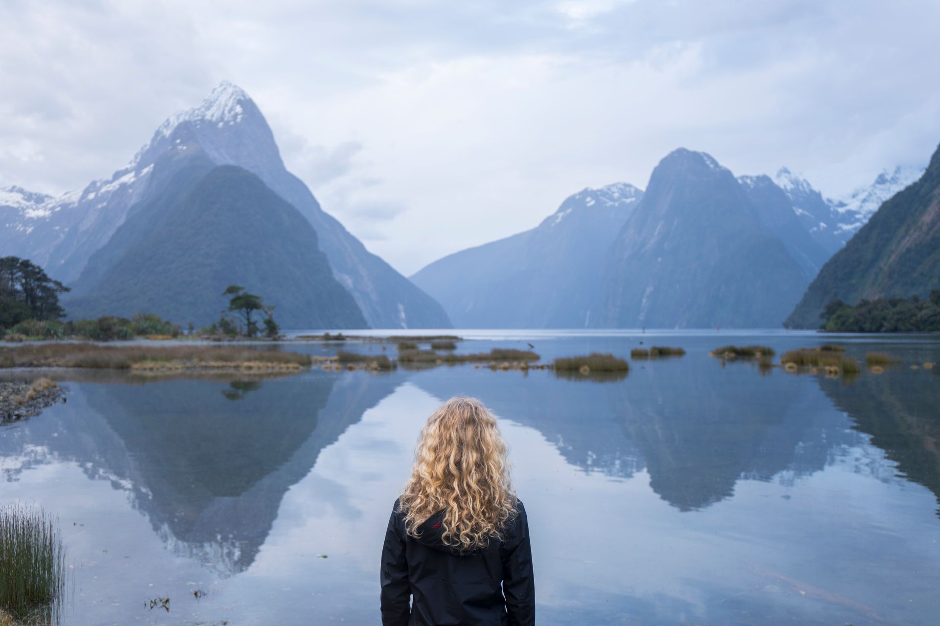 Gazing over mystical Milford Sound. Image courtesy Will Patino