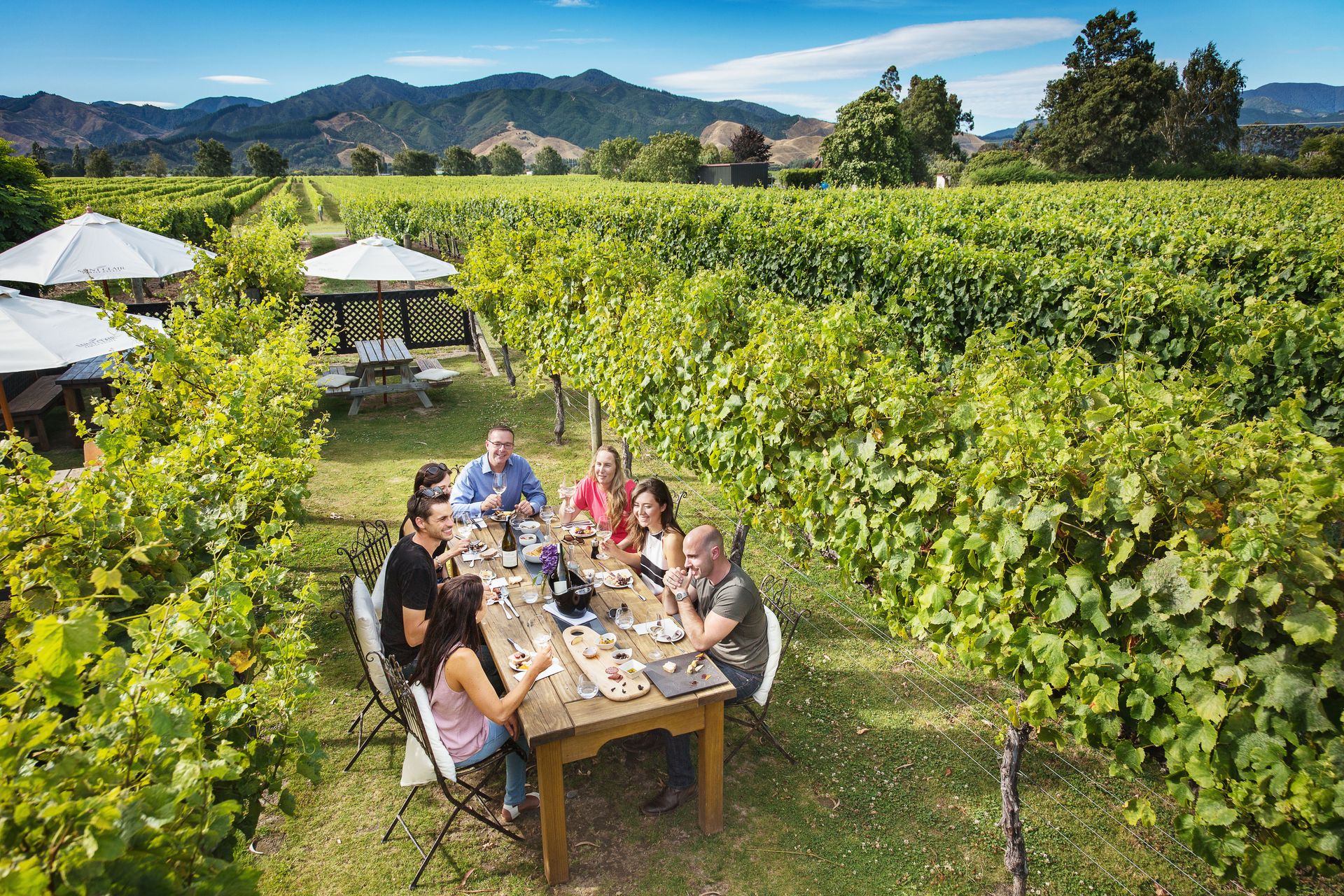 Wine and dine tours are popular in the region Courtesy MarlboroughNZ
