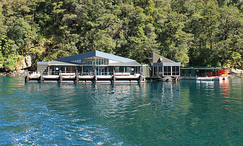 The Milford Discovery Center and Underwater Observatory - we thank them for this image