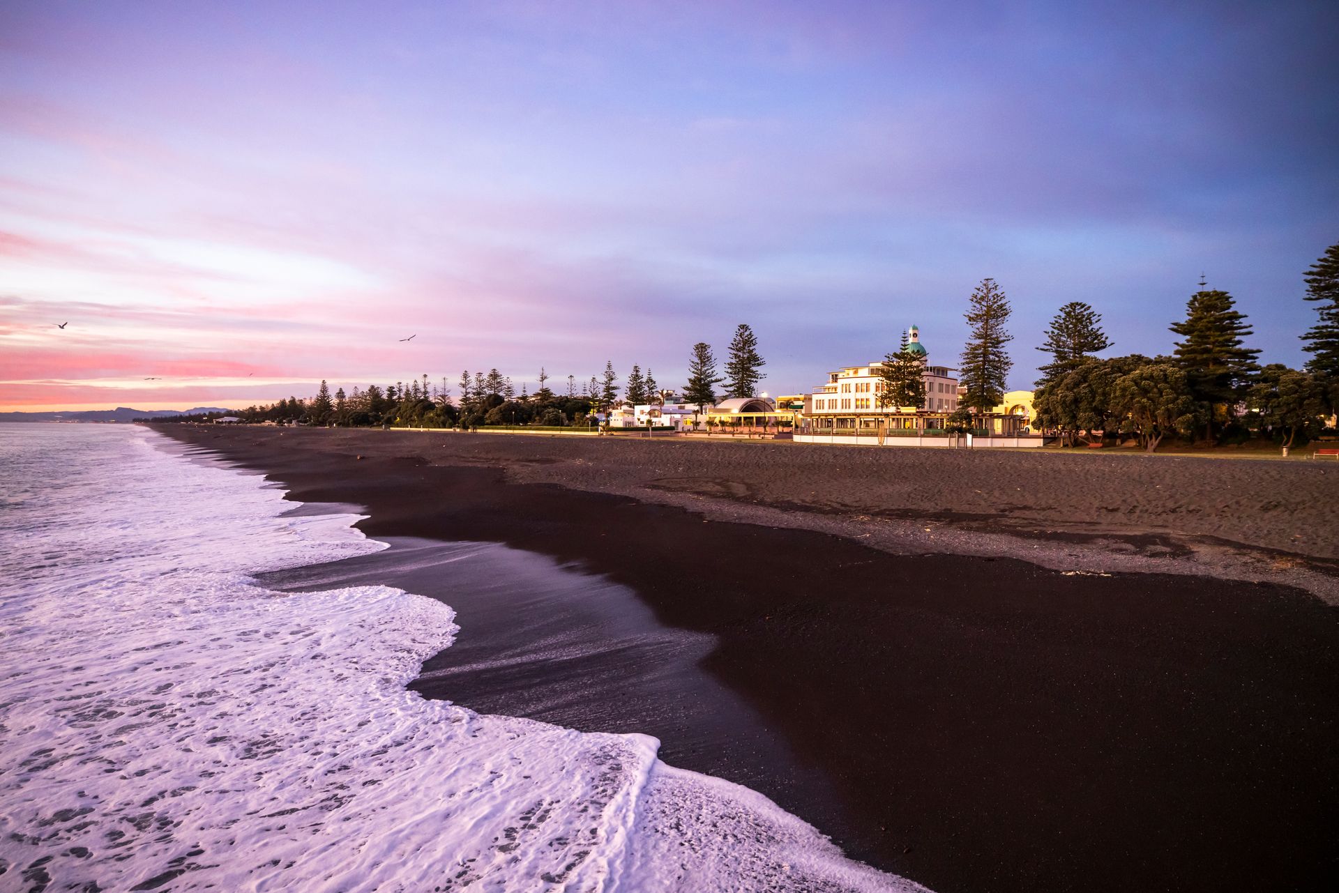 NapierBeachCourtesyGraemeMurray
