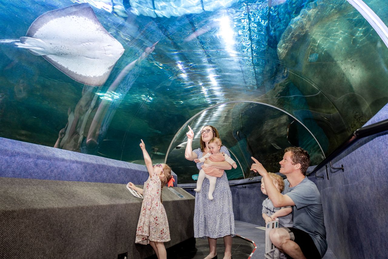 Napier National Aquarium Of NZ credit Molly Rose Nilsson