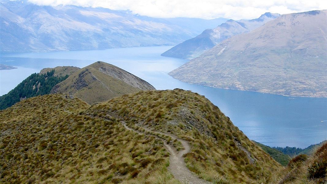 Queenstown Ben Lomond Track. Image Courtesy DOC Dept. of Conservation