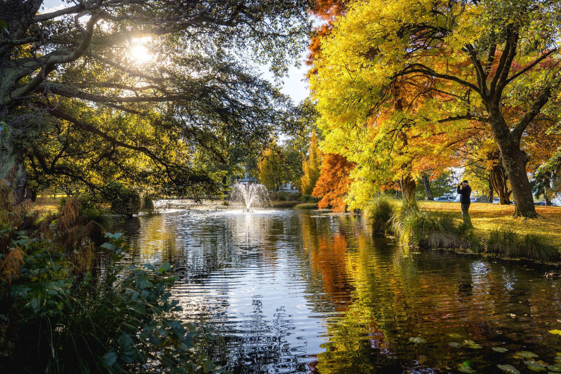 Queenstown Gardens In Autumn Image Courtesy Destination Queenstown