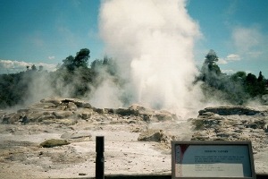 Rotorua's Pohutu Geyser