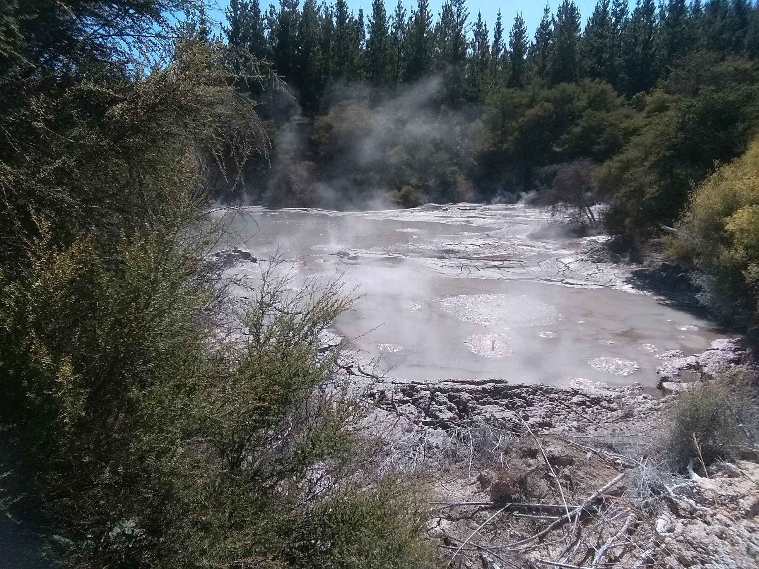 Taupo Waiotapu Mud Pools 2020