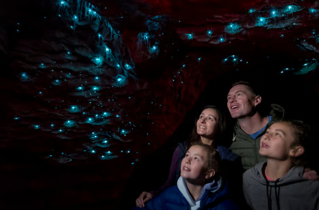 Te Anau Glowworm Caves Guided Tour image courtesy Get Your Guide Te Anau Glowworm Caves Guided Tour Get Your Guide