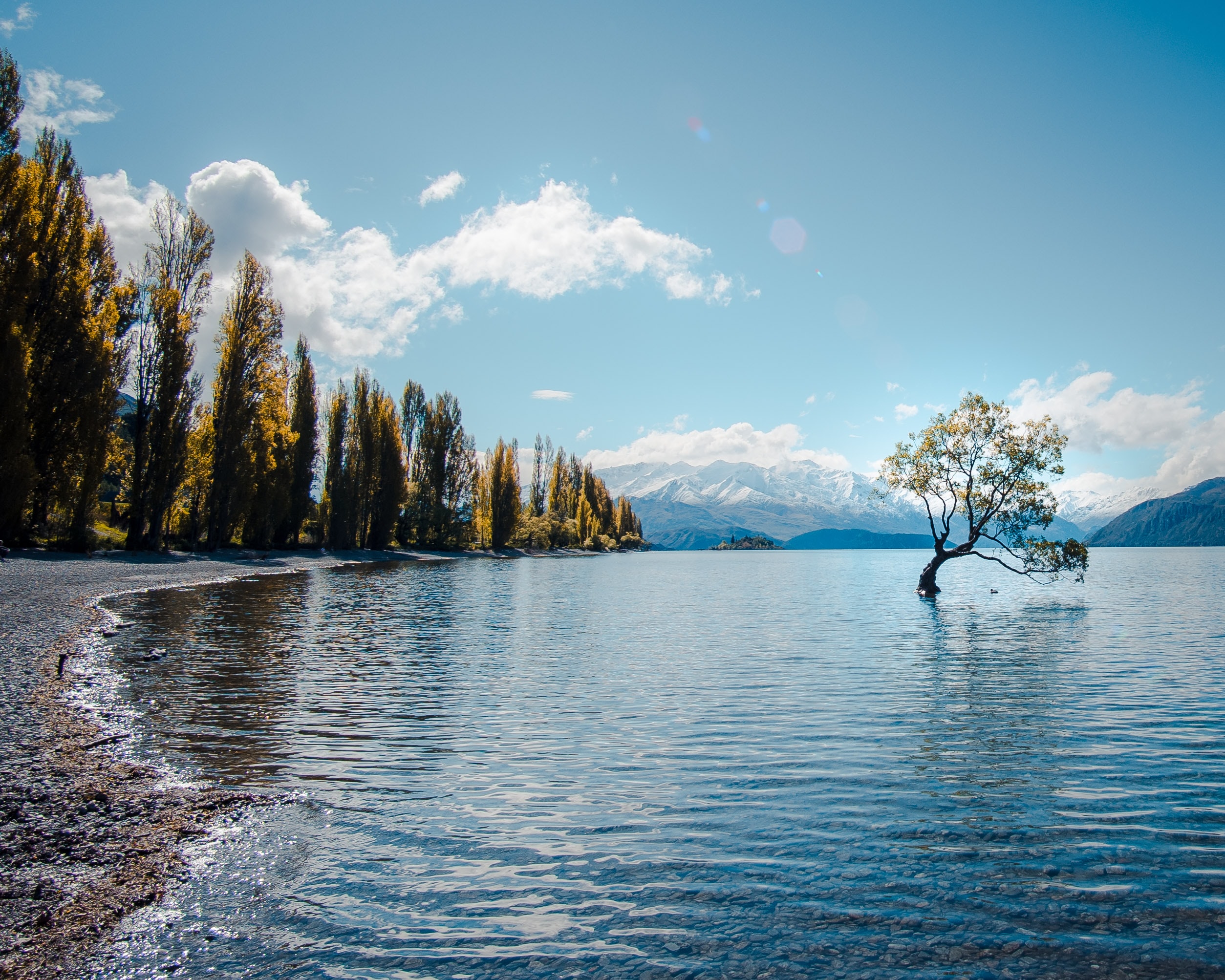 Wanaka Tree in lake image courtesy Laura Smetsers and Unsplash
